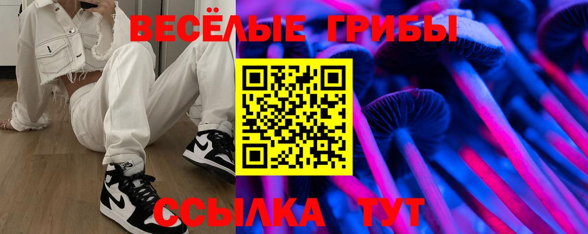 Карачаевск  Псилоцибиновые грибы прущие грибы  Галлюциногенные грибы мухоморы  купить наркотики сайты  Вход с VPN 